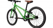 Owl 20″ – ASTRO GREEN